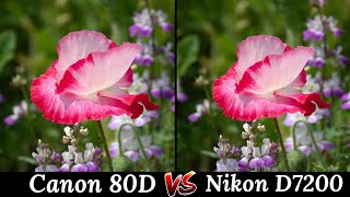 Canon EOS 80D VS Nikon D7200 DSLR Camera Comparison DSLR Camera Review Features Overview [upl. by Aenehs837]