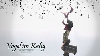 Vogel Im Käfig  Orchestral Cover by Charles Schiffer [upl. by Naashom47]