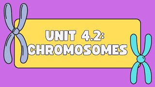 Unit 42 Chromosomes [upl. by Pip39]