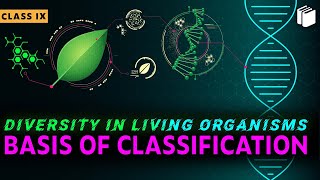 Basis of Classification  Chapter 7  Class 9  PuStack [upl. by Tj]