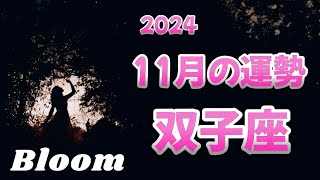 ♊️双子座 【11月の運勢】 自分軸をしっかりと🌈自分への優しさ✨ご褒美も❤️ [upl. by Bopp]