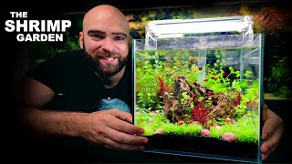 The Shrimp Garden ALL in ONE Kit Aquarium [upl. by Philipps190]