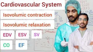 Isovolumic ContractionRelaxationPeriod of ejection cardiovascularsystem SV EF EDV ESV HR [upl. by Daniels536]