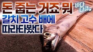 낚시가 아니라 돈 줍는 거네요 평생 갈치만 잡은 어부 따라가봤더니  바다다큐 [upl. by Gilford]