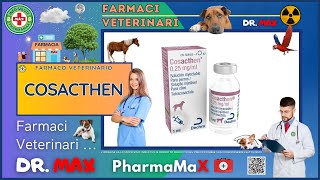 🐶 COSACTHEN Farmaco Veterinario a cosa serve   Foglietto Illustrativo 👔 Dr MAX [upl. by Danyelle870]