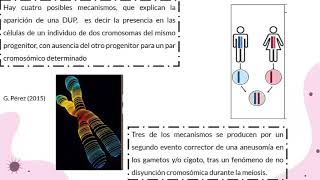 Clase genética médica Disomía uniparental [upl. by Ailel]