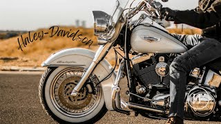 5 Fully Customized HarleyDavidson Models  HALEYDAVIDSON Custom harleydavidson harley motorcycle [upl. by Einattirb177]