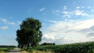 Weerbericht zondag Vandaag en morgen geregeld zon [upl. by Gareth]