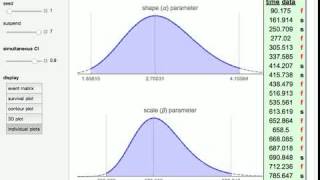 Simultaneous Confidence Interval for the Weibull Parameters [upl. by Eldwun]