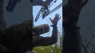 Indiana Deer Hunting hunting LIVE [upl. by Zerep]