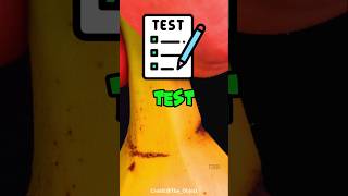 This Test Was So Hard 🤣 peternugget funny shorts viralshorts [upl. by Stauffer]