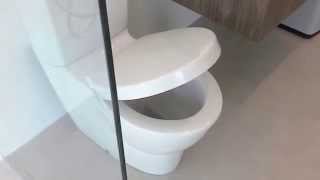 Kohler Ove Close Coupled Toilet Suite Soft Close Seat [upl. by Anilem]