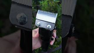 WAHL SUPER TAPER Cordless Cliper [upl. by Tania]