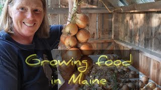 Growing food in Maine  Family Farm Life [upl. by Ardelis]