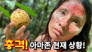 아마존이 변해버린 충격적인 이유시청 필수 다큐멘터리 아마존EP4 다큐멘터리 documentary amazonjungle [upl. by Eybba]