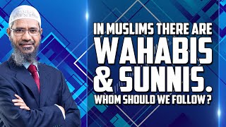 In Muslims there are Wahabis and Sunnis Whom Should we Follow  Dr Zakir Naik [upl. by Pelage]