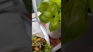 Tortilla wrap  how to make wrap  nandos peri peri chicken [upl. by Ydisahc]