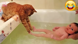 1 HOUR of Funniest Animals 😅 Funniest Cats and Dogs Videos 😹🐶 2 [upl. by Audrit]