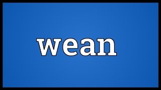 Wean Meaning [upl. by Anastasia]