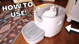 Furoomate Litter Box Review Setup  Demo [upl. by Sosthenna]