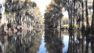 Caddo Lake Ride at Graceful Ghost Tour Boat [upl. by Spillar]