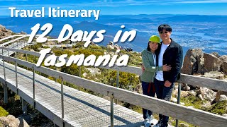 Travel Itinerary 12 Days in Tasmania Australia [upl. by Fidela]