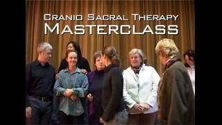 Cranio Sacral Therapy Masterclass Session 1 [upl. by Anrahc]