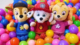 Paw Patrol Toy Video  ताकतवर पिल्ले बनाम बैटल रोबोट [upl. by Aina]