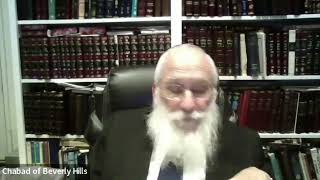 How to Respect the Torah Properly [upl. by Maurili]