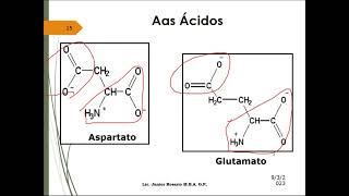 Precursores de Macromoléculas Aminoácidos [upl. by Gibson]