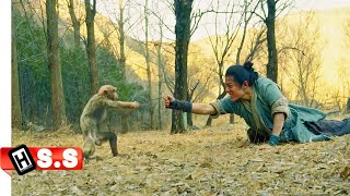 Jade Dynasty 2019 Netflix Adventure Fantasy movie ReviewPlot in Hindi amp Urdu [upl. by Wallach]