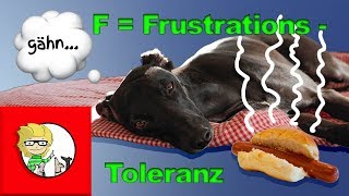 F  Frustrationstoleranz beim Hund  die besten Übungen für den Alltag [upl. by Kcaj]