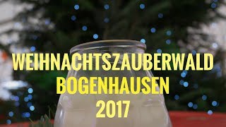 Bogenhausen Christmas market Munich  Travel Germany [upl. by Teerell435]