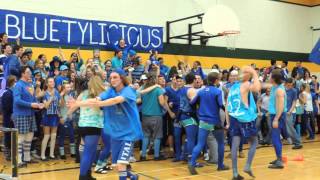 SJSH Colour Cheer 2014 Reveal of the Results [upl. by Tterb]