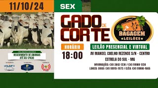 🐂 LEILÃO DE GADO DE CORTE  BAGAGEM LEILÕES  11102024 🐂 [upl. by Einahpehs]