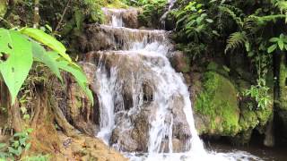 Sons da Natureza  Cachoeira Natural 1 hora  Para Relaxamento Meditação Dormir ou Estudar [upl. by Weslee]