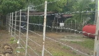 Barbed Wire Fencing philsbulacan [upl. by Cacia]