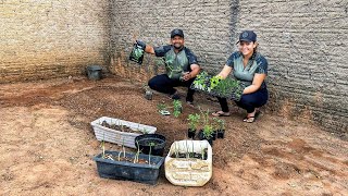 Fizemos no quintal de casa para economizar nossa orta ficou linda vamos plantar [upl. by Ariaic]