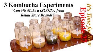 Possible to Make Kombucha SCOBY from Retail Brand  Its Time for Beer  Episode 27 [upl. by Grous]