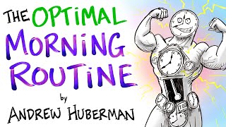 The Optimal Morning Routine  Andrew Huberman [upl. by Atcliffe]