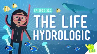 The Life Hydrologic Crash Course Kids 302 [upl. by Assiram984]