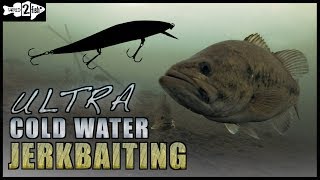 Jerkbait Fishing Tips for Ultracold Water Bass [upl. by Kolva]