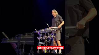 Danny Carey amp Adrian Belew in BEAT beat kingcrimson dannycarey shorts drums percussion band [upl. by Idisahc]