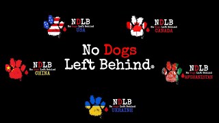 No Dogs Left Behind 2022 [upl. by Enitsuj]