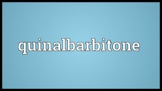 Quinalbarbitone Meaning [upl. by Nylesoj]