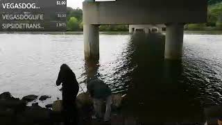 Scioto River fishing under the bridge Day 8 of the tournament 473007919 Vlog youme 0 [upl. by Ainiger]