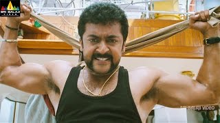 Singam Yamudu2 Action Scenes Back to Back  Suriya Danny Sapani Mukesh Rishi [upl. by Eniamrahc164]