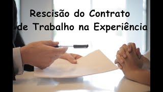 Como saber o VALOR da RESCISÃO no Contrato de EXPERIÊNCIA [upl. by Wardle]