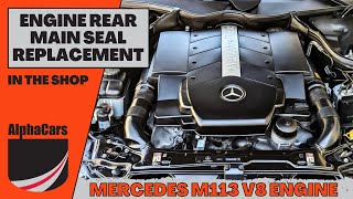 Fixing Oil Leaks on a 2004 Mercedes CLK500 C209  Process Explained [upl. by Lledra]