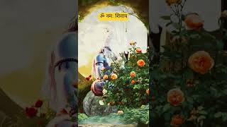 Tamtam yaja mahe Om namah Shivay bhakti music song [upl. by Ioved]